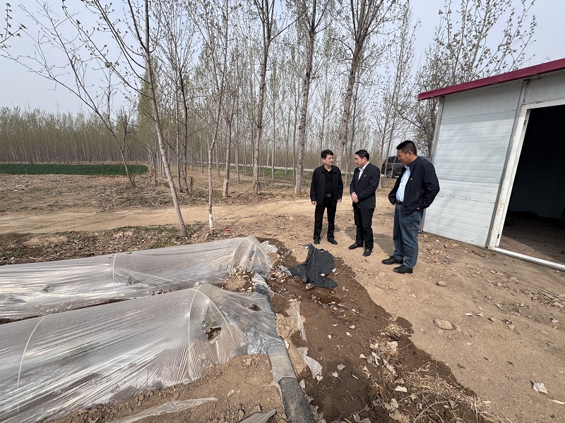 微信图片_20250408144504.jpg